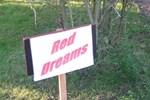 Red Dreams Guesthouse