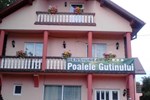 Гостевой дом Pensiunea Poalele Gutinului