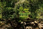 The Home Villa Leonati Art And Garden