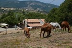 La Locanda Del Poeta