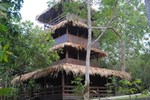 Amazon Antonio's Lodge