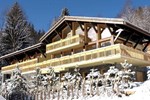 Villa in Chamonix VI