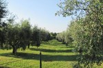 Holiday home Colle Di D�elsa