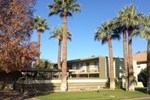 Mid Century Condo in Old Town Scottsdale