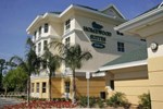 Отель Homewood Suites By Hilton, Daytona Beach Speedway-Airport