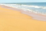Flagler Sand Dollar by Vacation Rental Pros