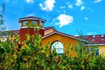 Отель Carter Estate Winery and Resort