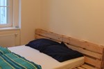Comfortable Apartment Vlkova