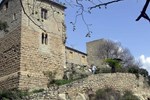 Castell de l'Espunyola