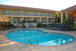 Holiday Inn & Suites Tampa Near Busch Gardens - USF