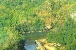 River Kwae Jungle Rafts