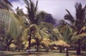 Маврикий. Последняя резиденция птицы додо - фотографии с Маврикия - Travel.ru