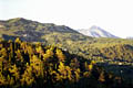 Зеленые горы Черногории - фотографии из Черногории - Travel.ru