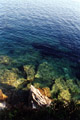 Оливковый рай или остров Корфу - фотографии из Греции - Travel.ru