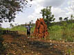Гана - открытие Западной Африки - фотографии из Ганы - Travel.ru