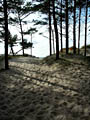 Балтийское море на выходные - фотографии из Литвы - Travel.ru