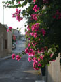 Наш остров Кипр - фотографии с Кипра - Travel.ru