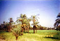 Автостопом через Африку: от реки Волги до реки Оранжевой. Глава 5. Египет - фотографии из Египта - Travel.ru