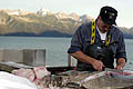 Страна Аляска - фотографии из США - Travel.ru