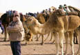Африканская Экспедиция. Тунис - фотографии из Туниса - Travel.ru