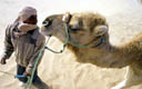 Африканская Экспедиция. Тунис - фотографии из Туниса - Travel.ru