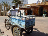 продавец газет / Фото из Египта