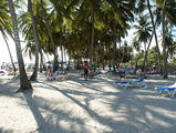 пляж в Гуайаканесе / Фото из Доминиканской Республики