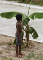 маленький доминиканец под банановым кустом / Фото из Доминиканской Республики