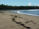 океанский северный берег / Фото из Доминиканской Республики