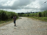 после ливня / Фото из Доминиканской Республики