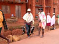 Не тяните лемура за хвост - фотографии с Мадагаскара - Travel.ru