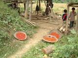 Сушка перца чили / Фото из Лаоса