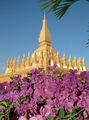 Па Тат Луан - Золотая Ступа / Фото из Камбоджи