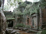 Нетронутый храм в джунглях / Фото из Камбоджи