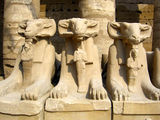 Три барашка / Фото из Египта