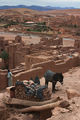 реставратор и его мохнатый помощник / Фото из Марокко