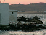 Парос - Науса, ресторан на берегу моря / Греция