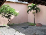 Пальма во внутреннем дворике / Фото из Венесуэлы