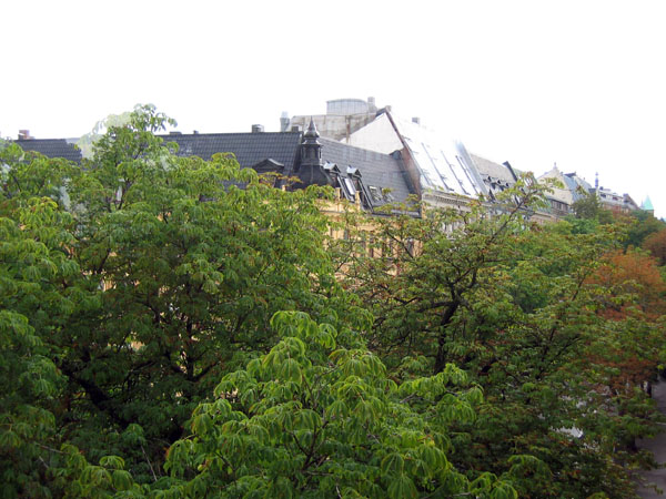 Крыши, утопающие в зелени / Фото из Норвегии