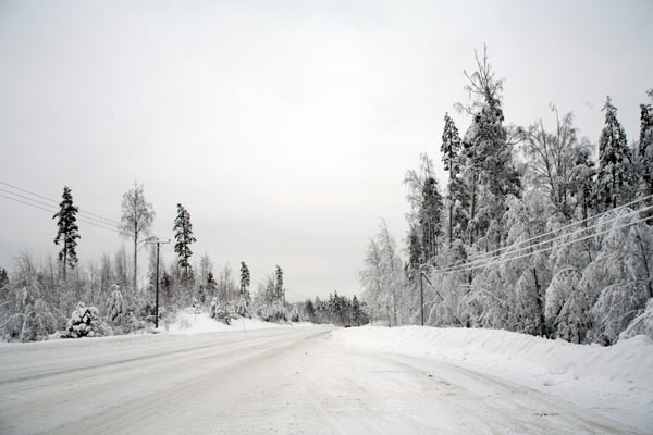 Заснеженная проселочная дорога / Фото из Финляндии