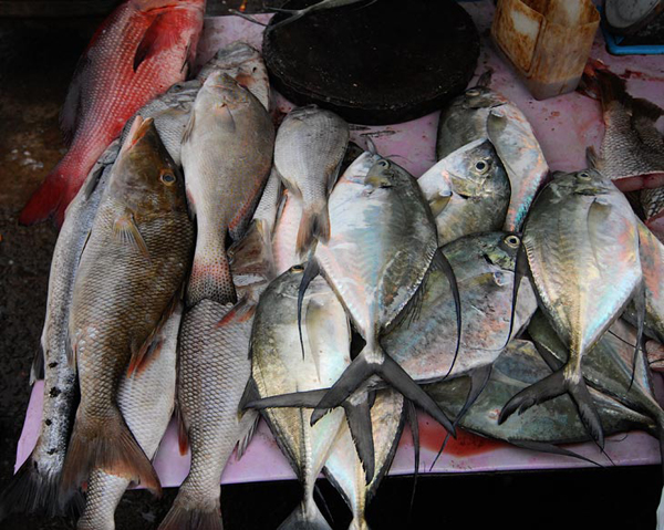 В рыбных рядах можно свободно дышать / Фото из Малайзии