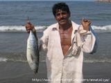 Рыбак из Ходейды / Йемен
