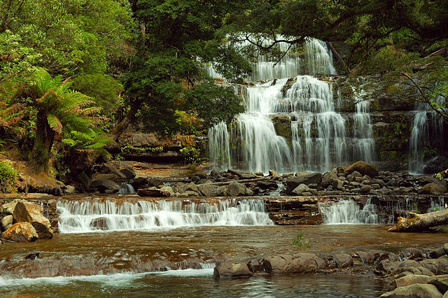 Водопад Liffey Falls / Фото из Австралии