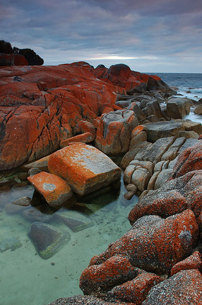    Bay of Fires /   