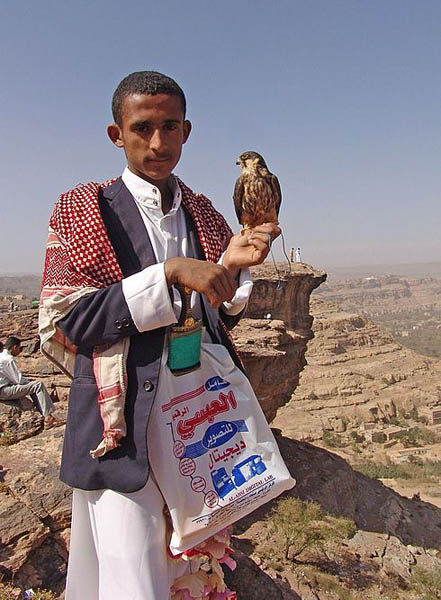 Ребята с соколами / Фото из Йемена