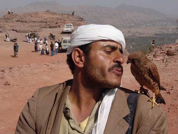 Сокольчий / Фото из Йемена