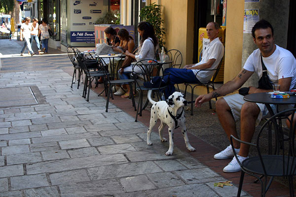 Уличные кафе в Аяччо / Фото из Франции
