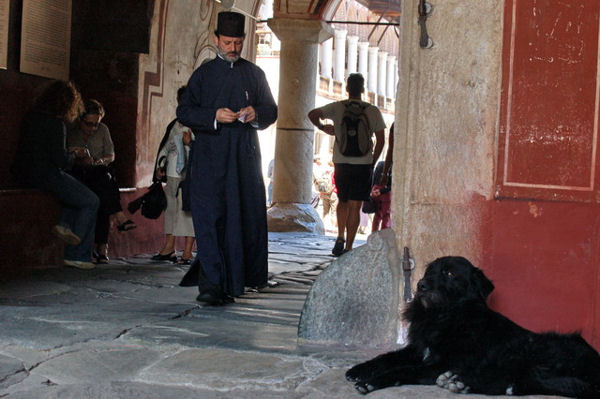 Собаку в православном монастыре увидишь не часто / Фото из Болгарии