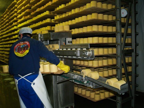 Омовение сыров Tete de Moine / Фото из Швейцарии