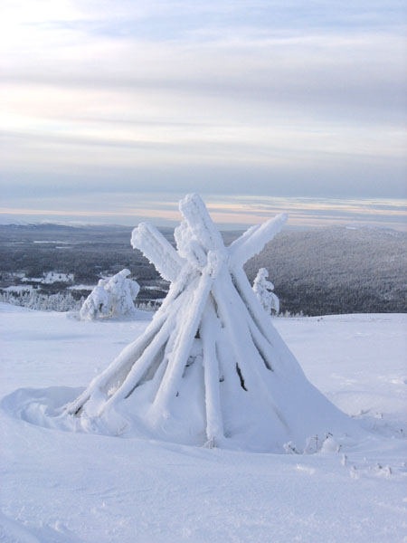 Обычные дрова / Фото из Финляндии